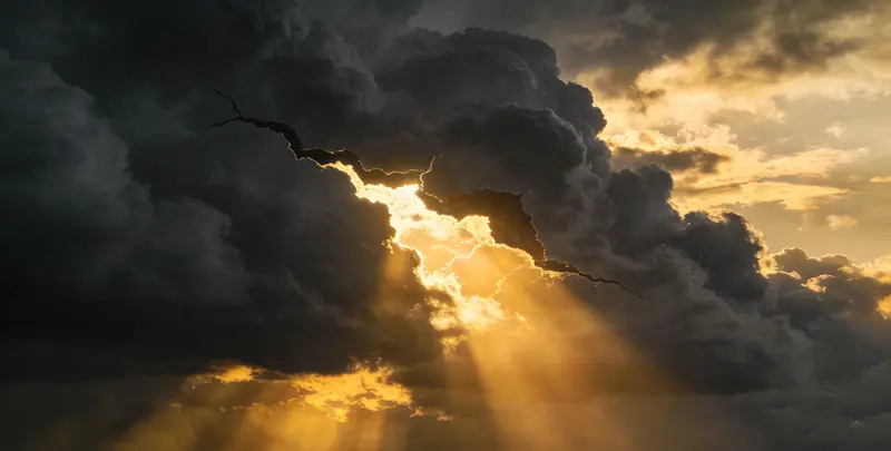 九江肺癌8基因突变检测（组织）图片1