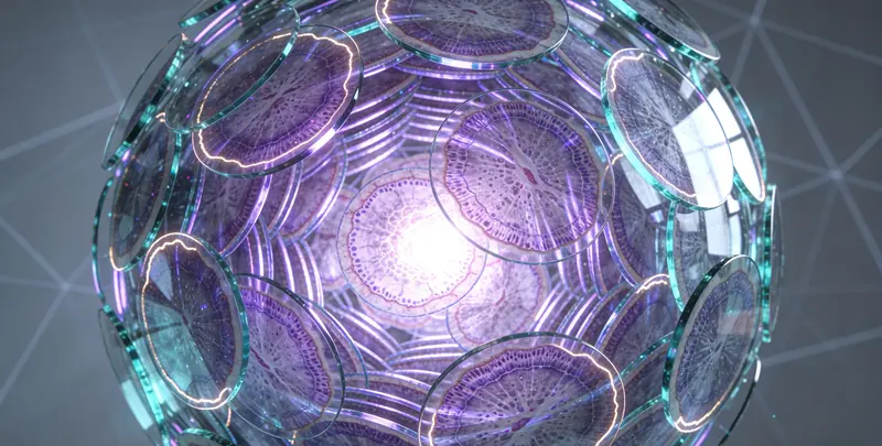 肿瘤全外显子测序（组织）图4